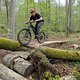 FranztrailSkinny1stride#4
