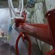 IMG 0085