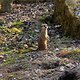 IMG 0278