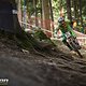 IMG 0733