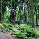 IMG 0817