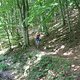 IMG 0010