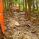 semmering DH track