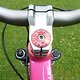 Canyon 2009 4X Prototype pink/red/black