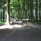 IMG 6234