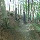 DSCF0141