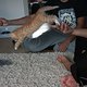 IMG 3636