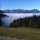 IMG 0232