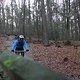 IMG 1222