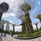 Supertrees in den &quot;Gardens By The Bay&quot;