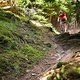 20160717-45L Goldsee Trail