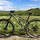 SingleBe Custom Trailhardtail