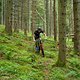 Wir haben Simon in seiner Heimat im Schwarzwald besucht und sein Bulls Black Adder rennfertig für die Transalp 2019 für euch gecheckt!