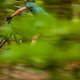 Foto Jens Staudt-Specialized Epic SWorks-Test-Review-8044