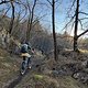 IMG 6868