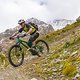 IMG 4391