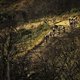 The lead bunch during Stage 3 of the 2025 Absa Cape Epic Mountain Bike stage race held at Fairview, Paarl, Cape Town, South Africa on the 19th March 2025. Photo by Nick Muzik/Cape Epic
PLEASE ENSURE THE APPROPRIATE CREDIT IS GIVEN TO THE PHOTOGRAPHER