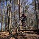 Bike Beerfelden P 266