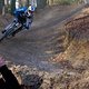 IMG 4560