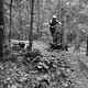 IMG 7336