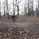 SAM 0018