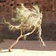 jordanien2006239
