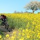 Endlich Frühling!!!