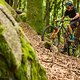 Zackig Bergauf und damit auch eine gute Wahl für kurzhubige Bikes im Downcountry- bis Trail-Segment