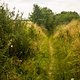 Orbit360 // Gravel Series 2022 // MagneticMoon