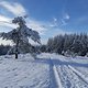 Traumpfad Wacholderweg, durch die Höhe von 500m/NN lag dort noch ordentlich Schnee! Hundi ist ausgeflippt :)
Einkehr in die Wacholderhütte lohnt sich!!
https://www.traumpfade.info/pfad/traumpfad/wacholderweg/