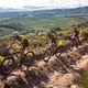 SCOTT-SRAM CapeEpic 2023 imagery by ACE23 Stage5 SamClark 76738
