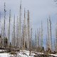 20150317-20150317-DSC06716-Verbessert-RR