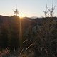 IMG 20250320 174911