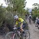 during Stage 3 of the 2025 Absa Cape Epic Mountain Bike stage race held at Fairview, Paarl, Cape Town, South Africa on the 19th March 2025. Photo by Nick Muzik/Cape Epic
PLEASE ENSURE THE APPROPRIATE CREDIT IS GIVEN TO THE PHOTOGRAPHER AND ABSA CAPE 