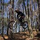 Bike Beerfelden P 310