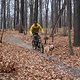 Mit Hund auf den Trail