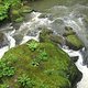 IMG 0014