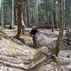 Todtnau 2008 04 2696