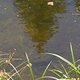 DSC03847