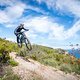 Finale - DH Men