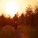 Sunset65 (MTB-News)