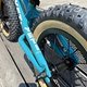 IMG 6599