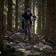 Schwalbe Clik Valve Specialized Stumpjumper 2025 PSturm-17