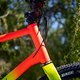 Sea Otter Classic Tag1-154