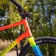 Sea Otter Classic Tag1-157