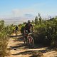BUFF MEGAMO 2 during Stage 3 of the 2025 Absa Cape Epic Mountain Bike stage race held at Fairview, Paarl, Cape Town, South Africa on the 19th March 2025. Photo by Michael Chiaretta/Cape Epic
PLEASE ENSURE THE APPROPRIATE CREDIT IS GIVEN TO THE PHOTOG