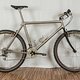 Merlin Schwalbe BronzeSkin