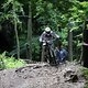 IMG 5205