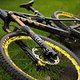 DH-Bike von Rose