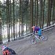 IMG 0017